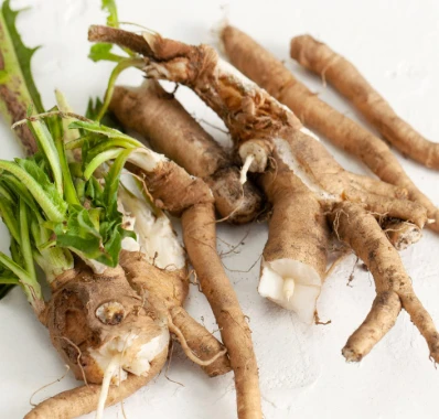 Inulin Chicory Root Prebiotic Fiber